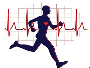 فعالیت بدنی و تندرستی