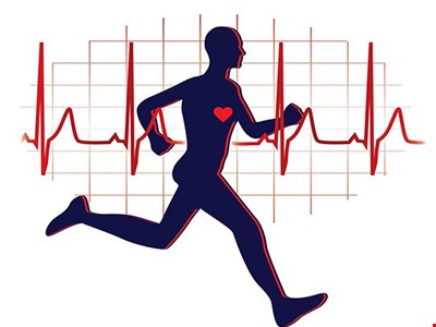 فعالیت بدنی و تندرستی