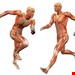 ویرایش دوم- آبان 1404
